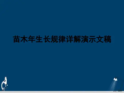 苗木年生长规律详解演示文稿