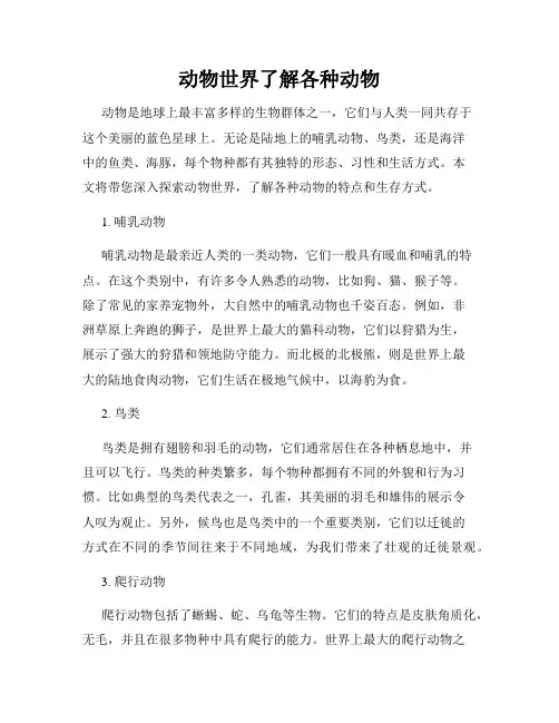 动物世界了解各种动物