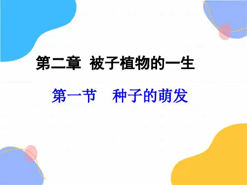 生物人教版七年级(上册)第一节种子的萌发(共22张)(2024版新教材)