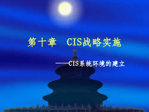 企业CIS战略演示ppt课件