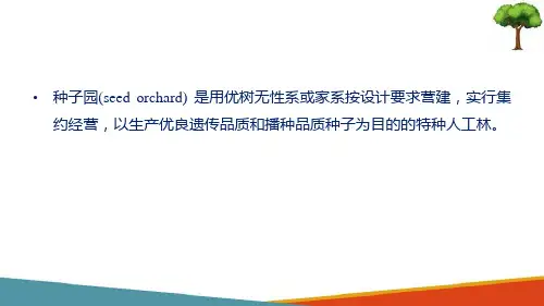 良种基地建设—种子园(林木种苗生产技术课件)