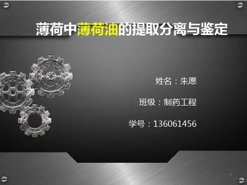 薄荷油的提取分离鉴定PPT课件