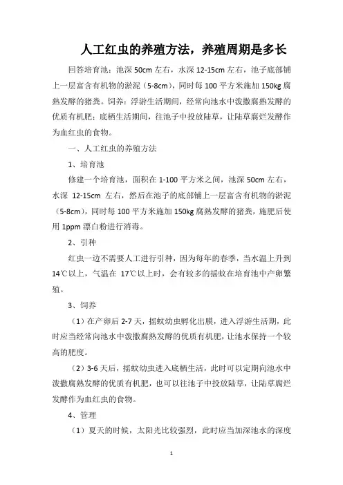 人工红虫的养殖方法,养殖周期是多长