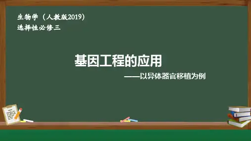 生物人教版(2019)选择性必修三3.3基因工程的应用(共24张ppt)