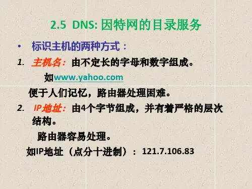 计算机网络DNS课件
