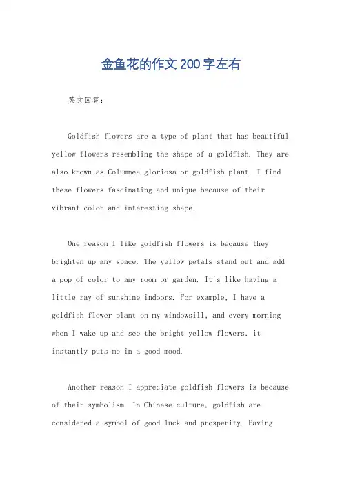 金鱼花的作文200字左右