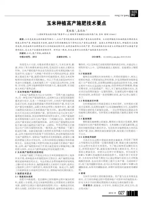 玉米种植高产施肥技术要点