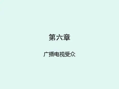 广播电视受众