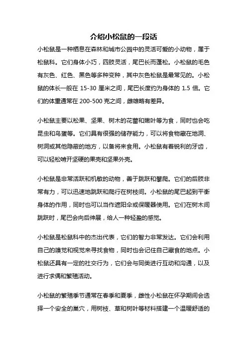 介绍小松鼠的一段话