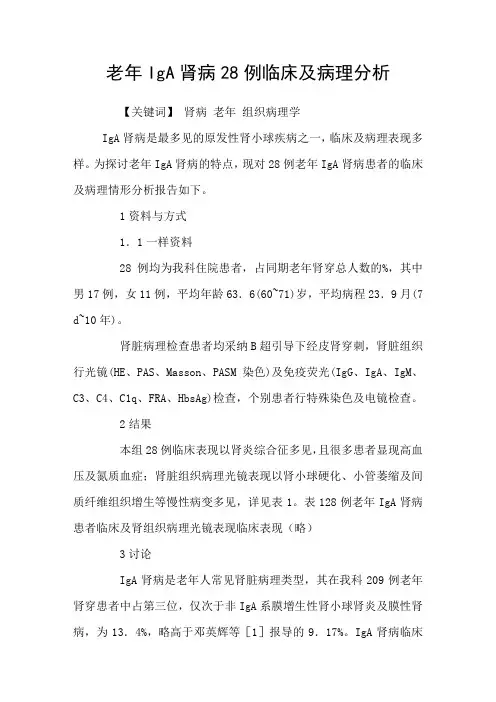 老年IgA肾病28例临床及病理分析