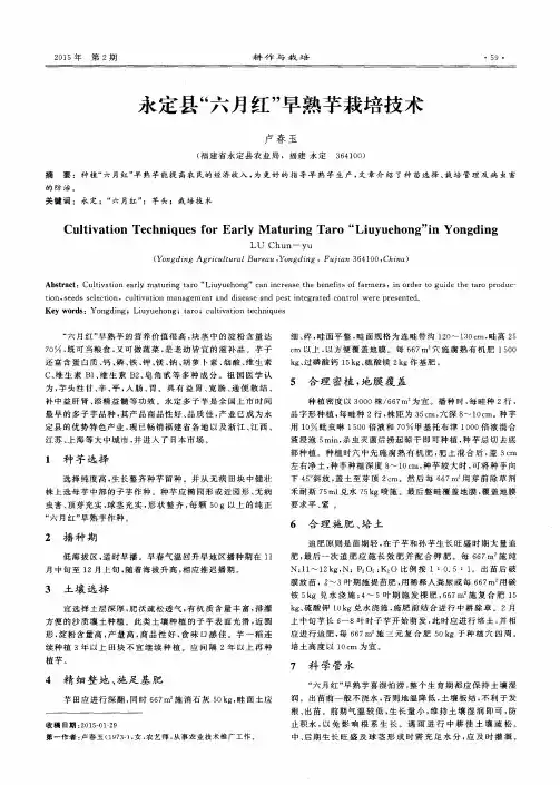 永定县“六月红”早熟芋栽培技术