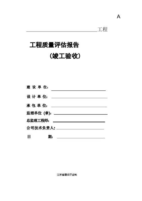 评估报告模板