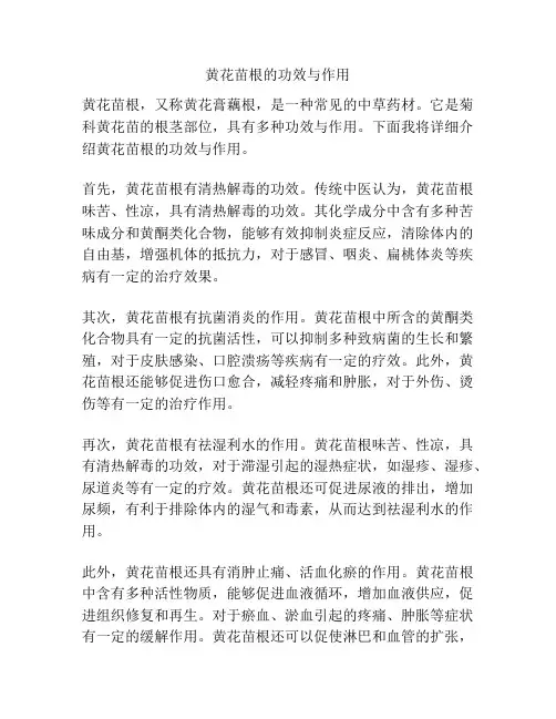 黄花苗根的功效与作用