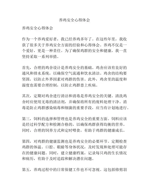 养鸡安全心得体会