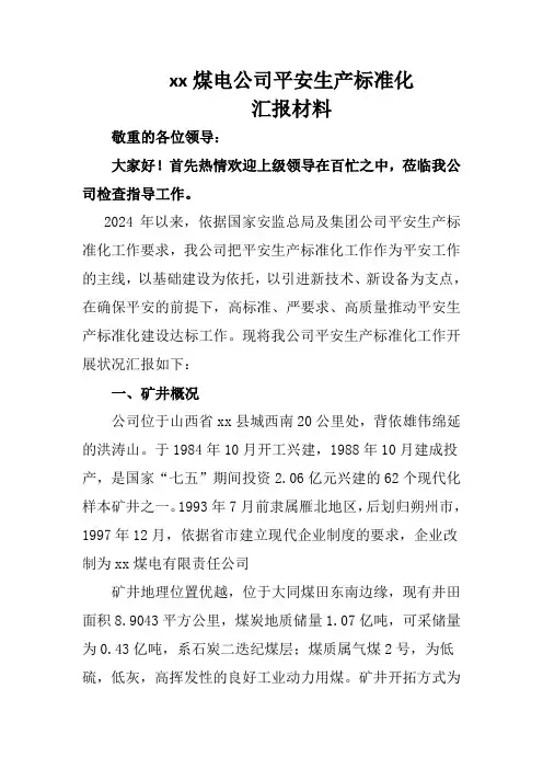 2024安全生产标准化汇报材料解析