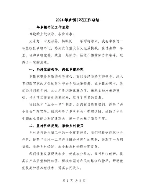 2024年乡镇书记工作总结