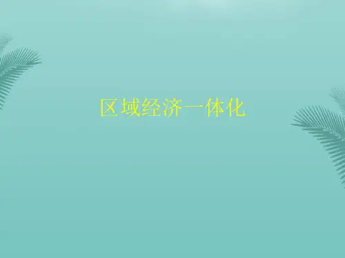 区域经济一体化(精选优秀)PPT
