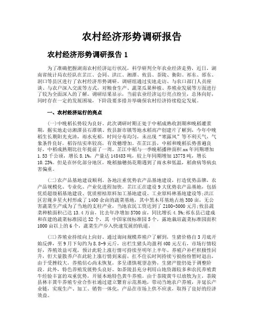 农村经济形势调研报告