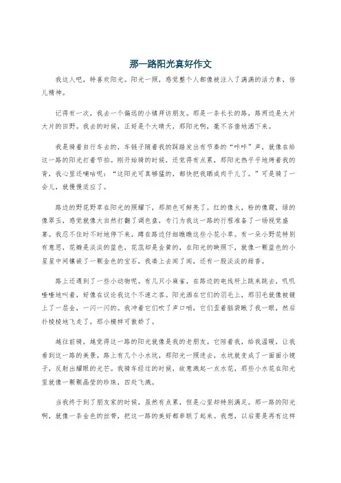 那一路阳光真好作文