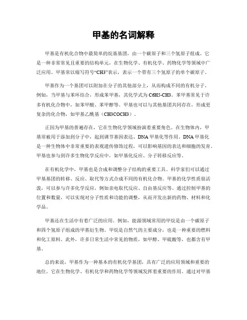 甲基的名词解释
