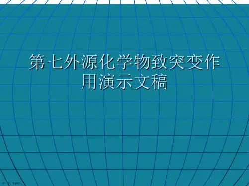 第七外源化学物致突变作用演示文稿