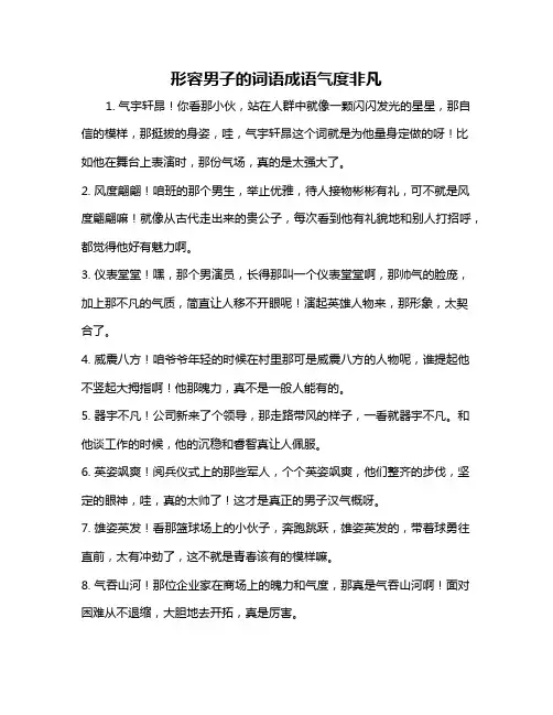形容男子的词语成语气度非凡