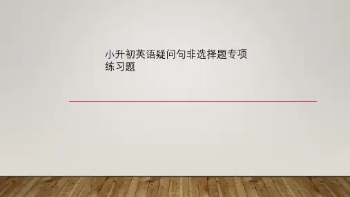 小升初英语疑问句非选择题专项练习题