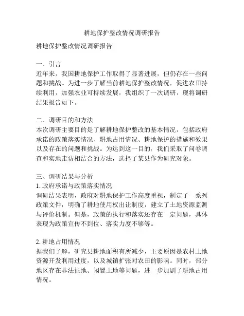 耕地保护整改情况调研报告