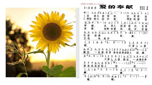 [人教版]道德与法治七年级下册5.1 我们的情感世界 课件