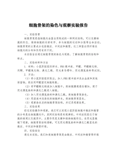 细胞骨架的染色与观察实验报告