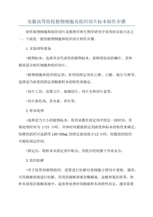 安徽高等院校植物细胞及组织切片标本制作步骤