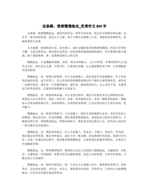 这条路,我想慢慢地走_优秀作文800字