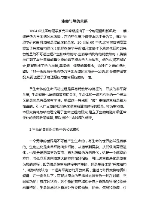 生命与熵的关系