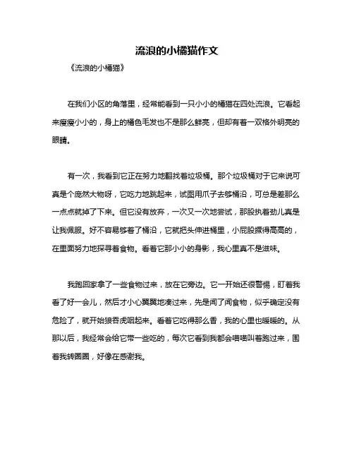 流浪的小橘猫作文