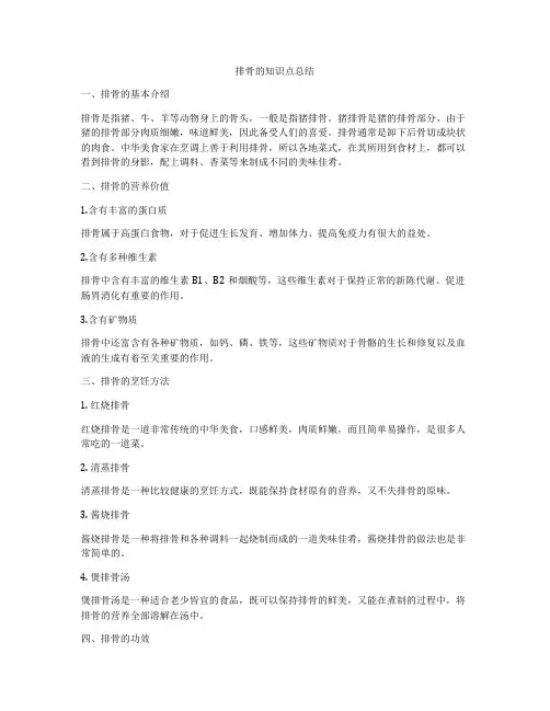 排骨的知识点总结