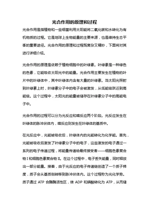 光合作用的原理和过程