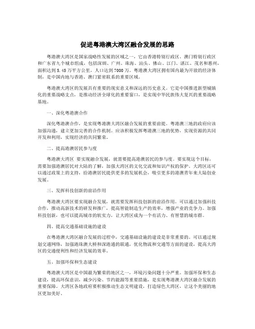 促进粤港澳大湾区融合发展的思路