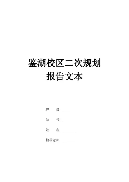 武汉理工鉴湖校区区域规划模拟报告文本