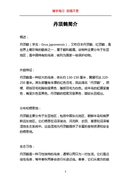丹顶鹤简介