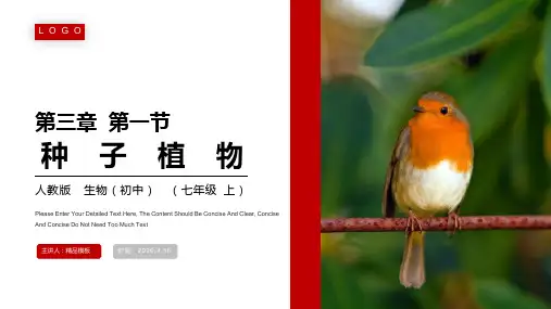《种子植物》人教版七年级生物上册PPT课件