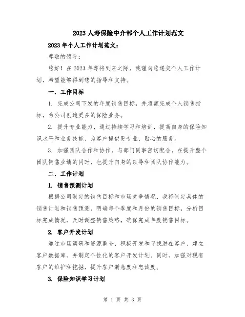2023人寿保险中介部个人工作计划范文