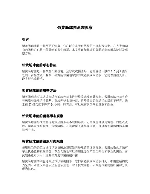 铅黄肠球菌形态观察
