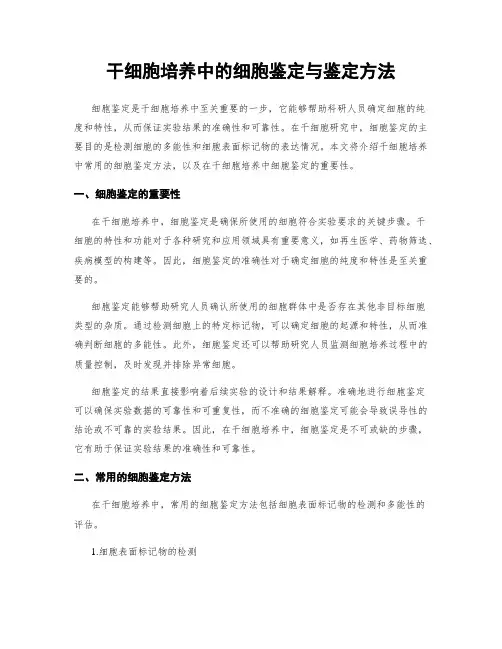 干细胞培养中的细胞鉴定与鉴定方法