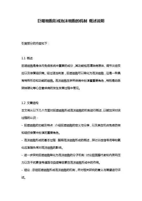巨噬细胞形成泡沫细胞的机制_概述说明