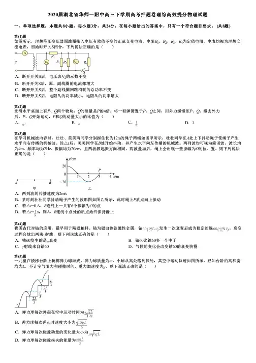 2020届湖北省华师一附中高三下学期高考押题卷理综高效提分物理试题