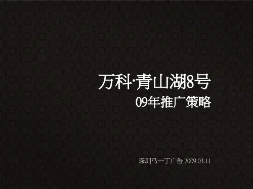 万科青山湖策略最终版