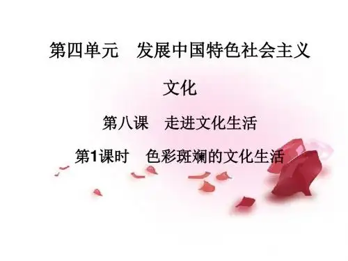 高中政治 第八课 第1课时 色彩斑斓的文化生活课件 新人教版必修3课件