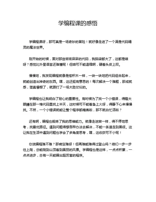 学编程课的感悟