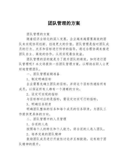 团队管理的方案