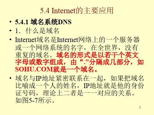 域名系统及DNSppt课件